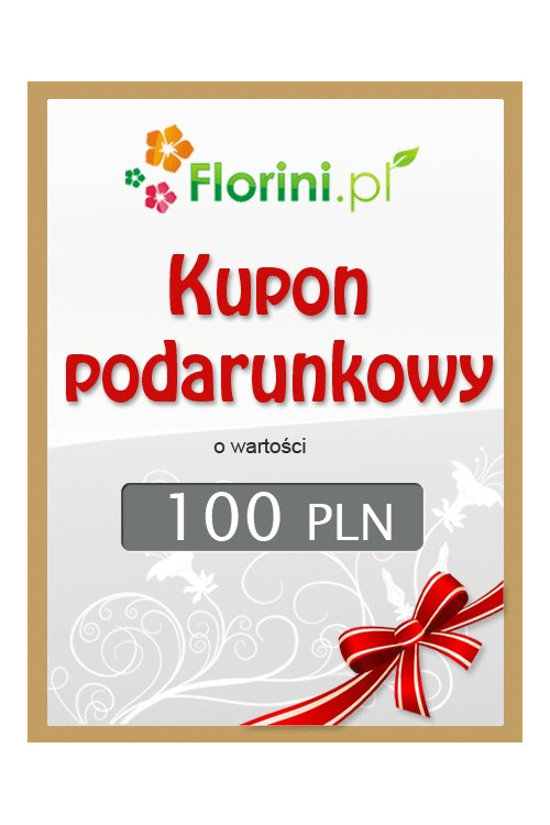 Kupon podarunkowy o wartości 100 PLN