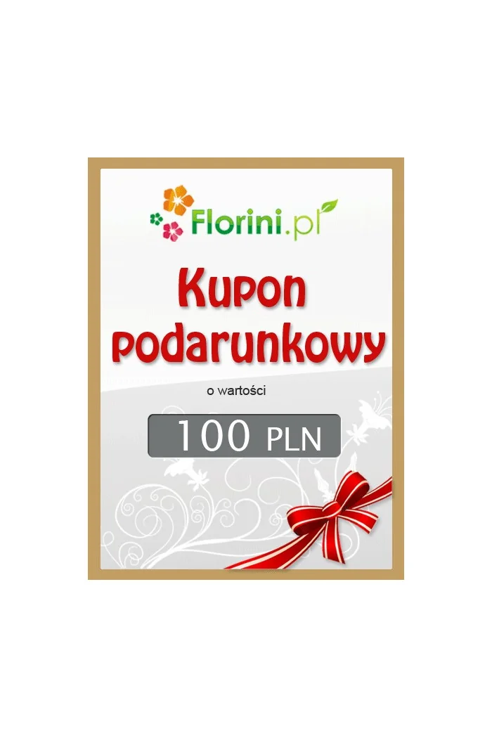 Kupon podarunkowy o wartości 100 PLN