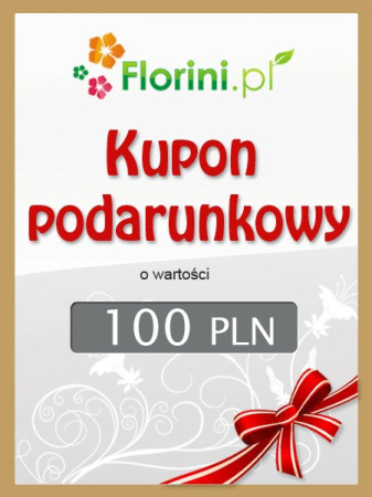 Kupon podarunkowy o wartości 100 PLN
