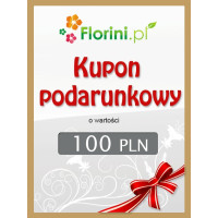 Kupon podarunkowy o wartości 100 PLN