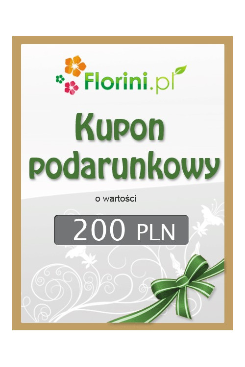 Kupon podarunkowy o wartości 200 PLN