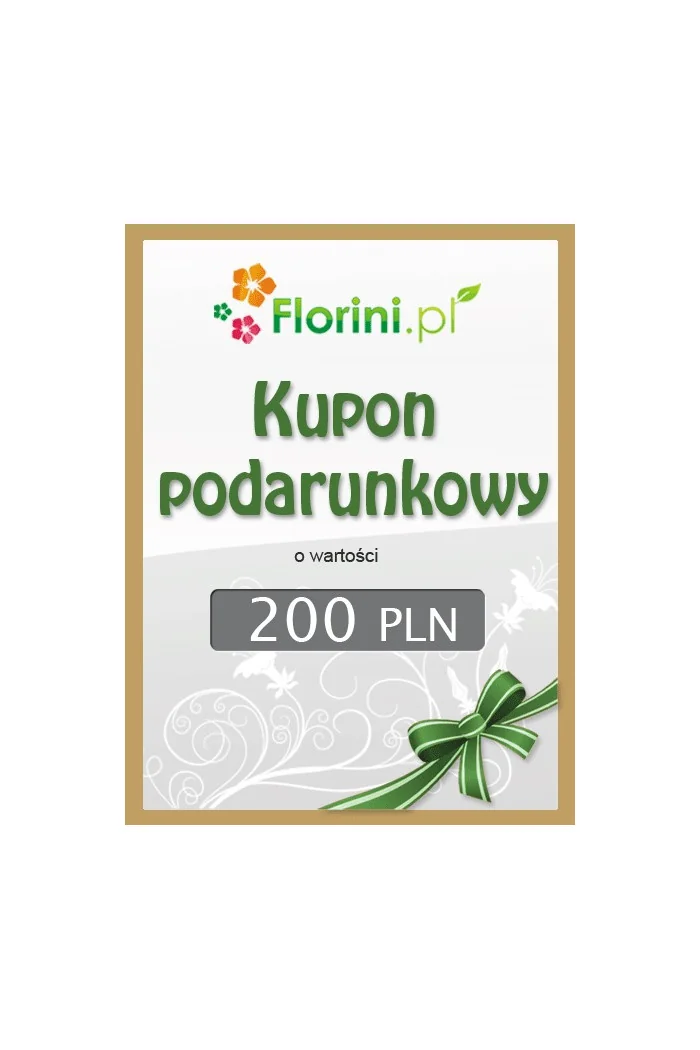 Kupon podarunkowy o wartości 200 PLN