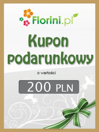Kupon podarunkowy o wartości 200 PLN