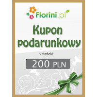 Kupon podarunkowy o wartości 200 PLN