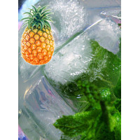 Mięta ananasowa Mentha rotundifolia