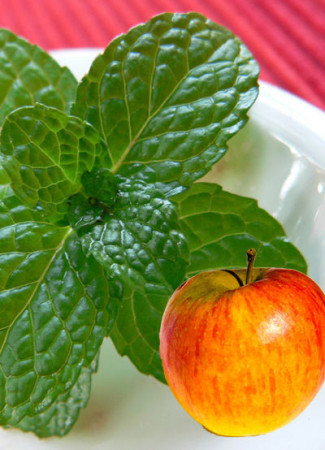 Mięta jabłkowa Mentha