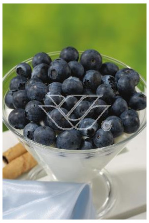 Borówka wysoka (amerykańska) 'Hannah's Choice' Vaccinium corymbosum