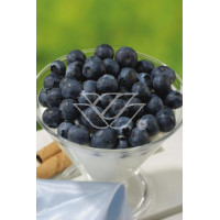 Borówka wysoka (amerykańska) 'Hannah's Choice' Vaccinium corymbosum