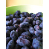 Jagoda kamczacka 'Leningradskij Welikan' | Lonicera coerulea var. Kamtschatica