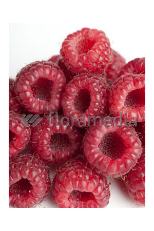 Malina 'Heritage' Rubus idaeus