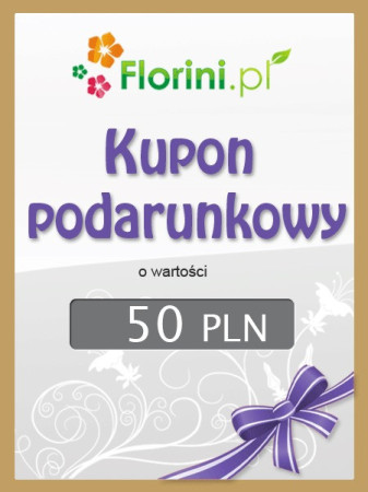Kupon podarunkowy o wartości 50 PLN
