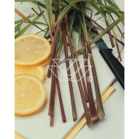 Trawa cytrynowa (Lemongrass) | Cymbopogon citratus