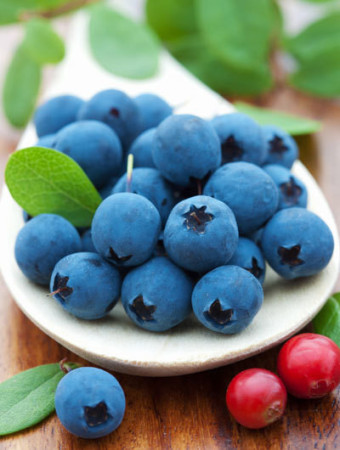 Borówka wysoka (amerykańska) 'Bonus' | Vaccinium corymbosum