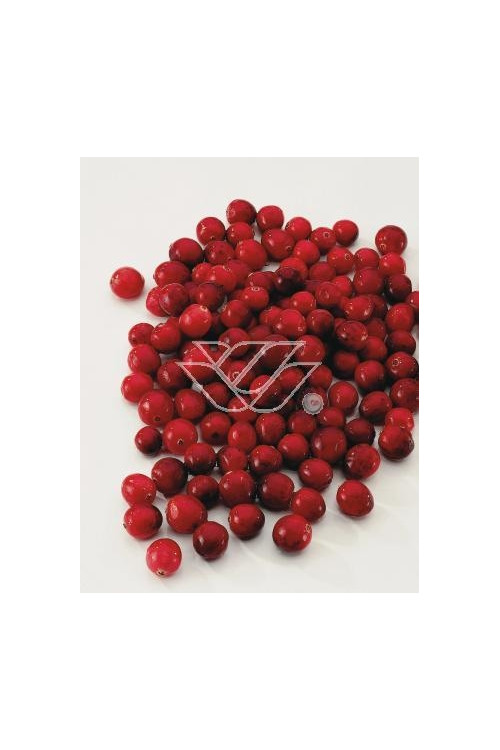 Żurawina wielkoowocowa Vaccinium macrocarpon