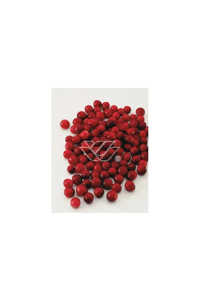 Żurawina wielkoowocowa Vaccinium macrocarpon