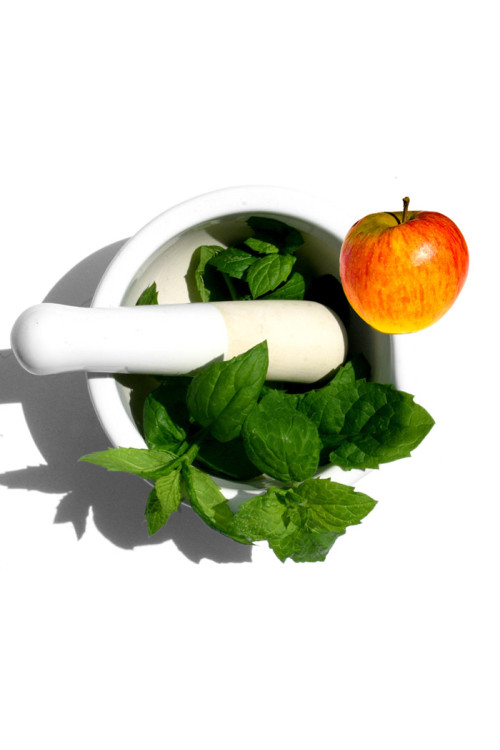 Mięta jabłkowa Mentha