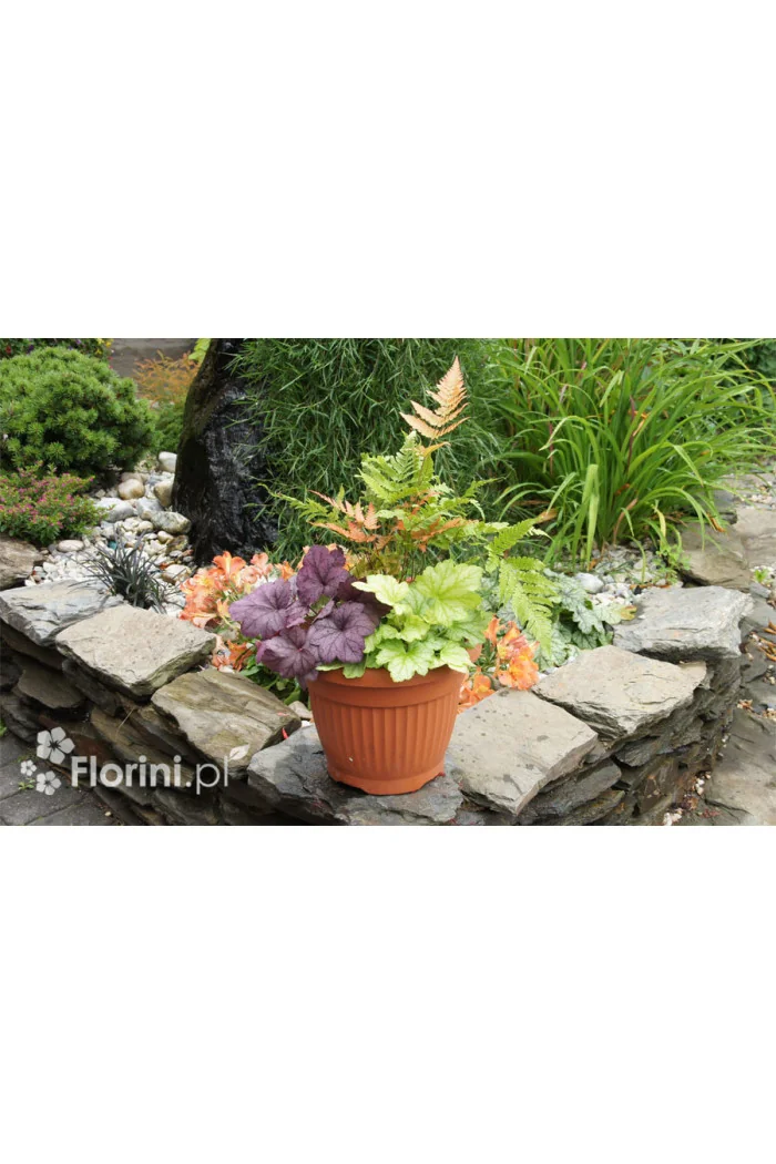 Zestaw nr 1 - falująca delikatność