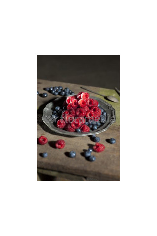 Malina 'Pokusa' | Rubus idaeus