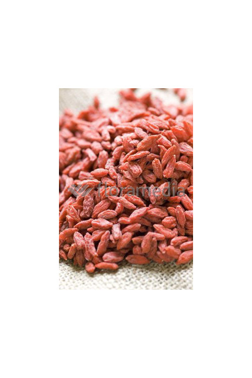 Kolcowój 'New Big' - Jagody Goji Lycium barbarum