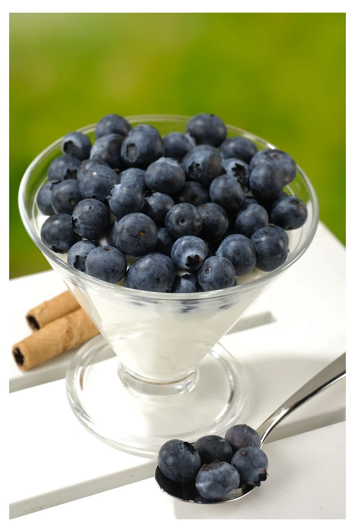 Borówka wysoka (amerykańska) 'Patriot' | Vaccinium corymbosum