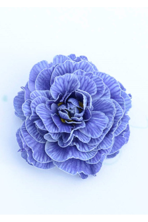 Pierwiosnek 'Belarina® Baltic Blue' | Primula