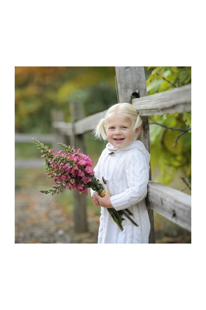 Naparstnica 'Berry Canary' | Digitalis digiplexis