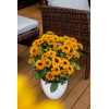 Rudbekia 'Flamenco Bright Orange' | Rudbeckia