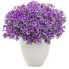 Supertunia MINI Vista 'Violet Star'